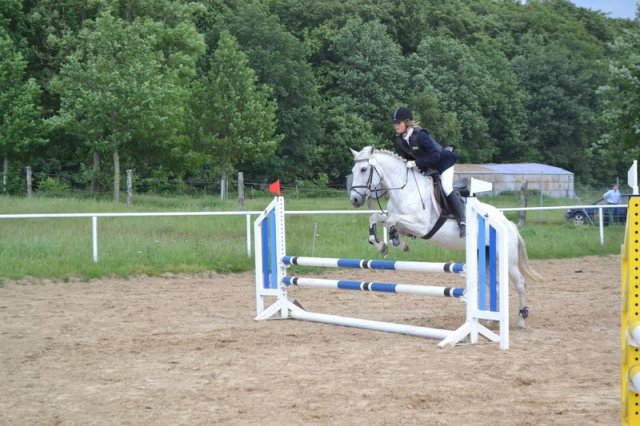 reitertag 2013 91